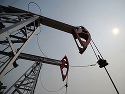 РФ задумалась о снижении добычи нефти ради поддержки мировых цен