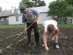 Банки сворачивают кредитование фермеров