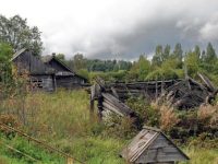 Одно село и четыре Халка: страна тратит на развитие деревни ничтожно мало