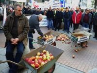 Польские фермеры возлюбили Россию после потери российского рынка