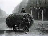 Пятьсот? Пятьсот рублей — это хорошо. Знаете, как мы бы на них жили!