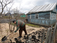 Дальневосточный гектар: почему он не нужен и даром