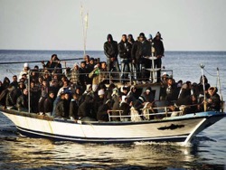 Мигранты все прибывают