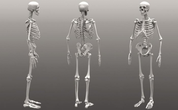 Тайны черных трансплантологов