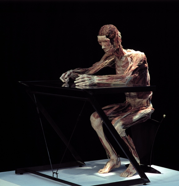 Тайны черных трансплантологов