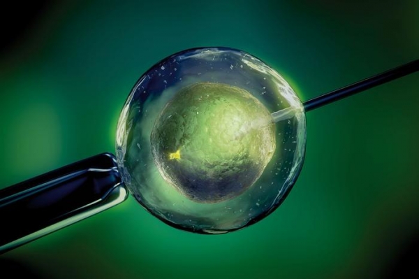 Тайны черных трансплантологов