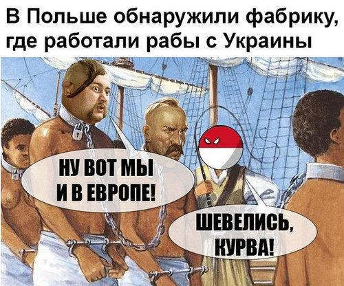 Что лучше: быть рабом царя или рабом слуги царского псаря?