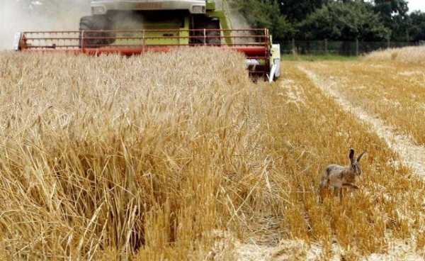 Вопрос к людям из СССР