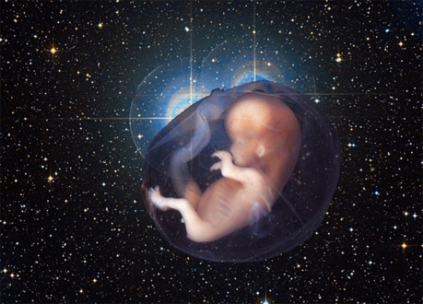 Обнаружены "кирпичики жизни" около новорождённых солнцеподобных звёзд