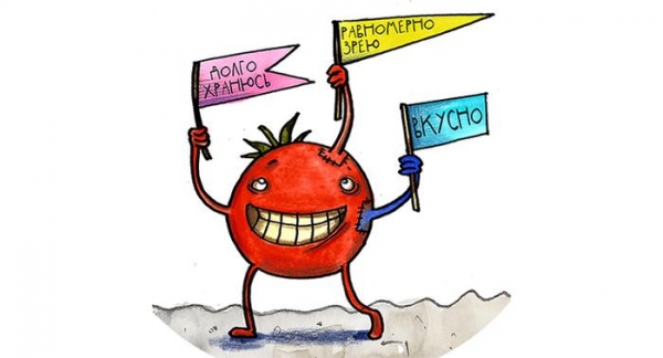 ГМО: бояться нельзя питаться. Биологи знают, где поставить запятую