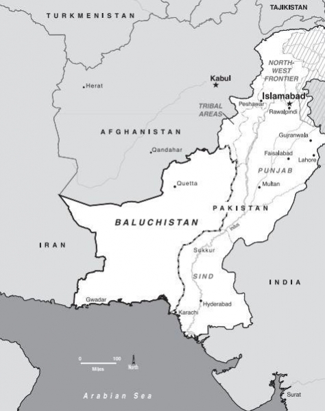 Американские террористы на Новом Шелковом пути: совпадение?