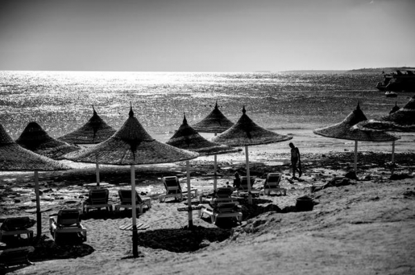 Власти Германии подтвердили гибель своих граждан при нападении боевика в Хургаде