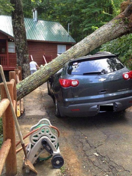 На любое действие всегда найдется противодействие