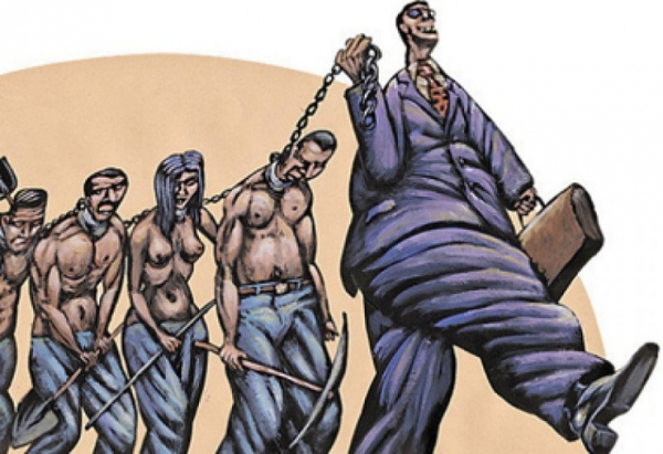 Про коня, гуся, академиков и чиновников. И про эксперимент в психологии