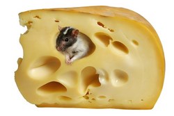 Про сыр при социализме и капитализме. И про дырки от него