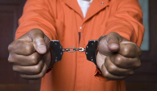 История "культурного террора"