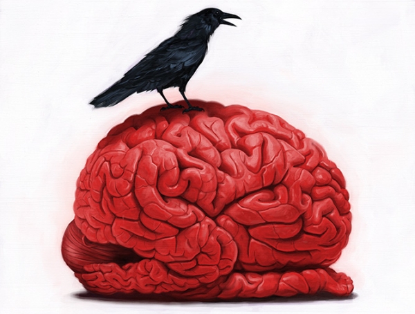 История "культурного террора"