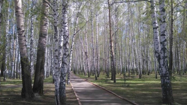 "Когда я думаю о России, мне хочется кричать". Путевые заметки немца