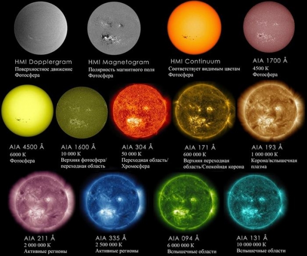 Жизнь со звездой