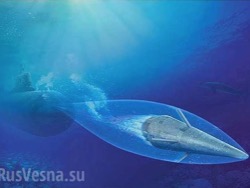 Вопреки законам физики: российский "Шквал", обгоняющий время