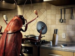 "Дядя дал 100 рублей, и я рассыпал здесь тараканов"