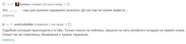 "Дядя дал 100 рублей, и я рассыпал здесь тараканов"