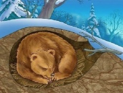 Сулакшин: российское общество как медведь &mdash; в спячке