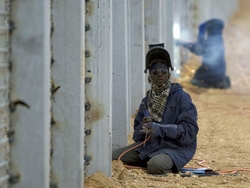 Мир охватила стеномания. К чему бы это?