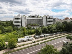 Участников реновации переселят на болота