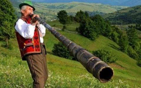 Венгрия всерьез нацелилась на Закарпатье