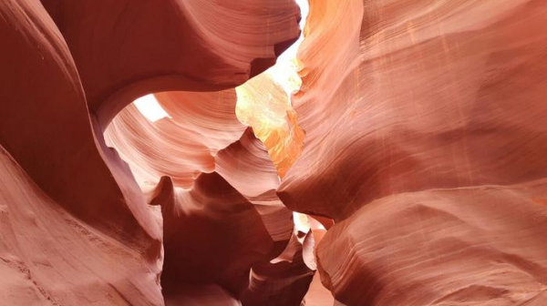 Путешествие по США с 800$ в кармане