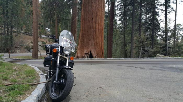 Путешествие по США с 800$ в кармане