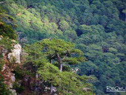 "Майские указы" в Крыму: формально выполнены. А что на деле?