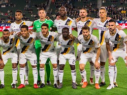 Футболисты "Нью-Йорк Сити" почтили память голубя, убитого соперником