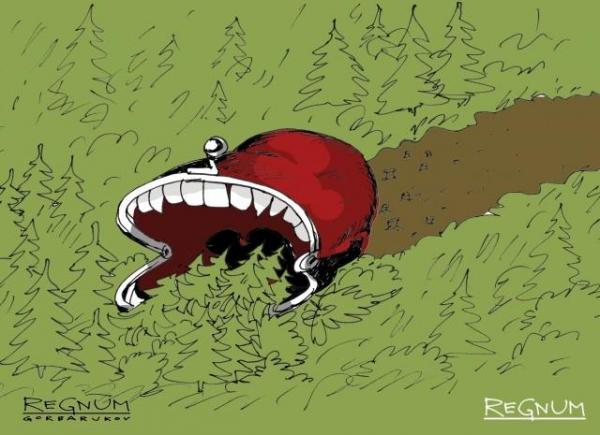 Петр Великий как жертва чужебесия. Истоки предательства: князь против волости