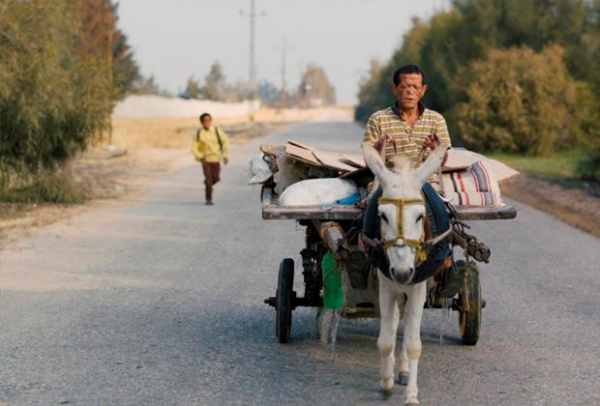 Общество мертвых поэтов