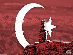 Приобретет ли кризис в Турции глобальный характер?