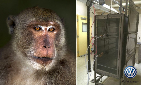 Американские скандалы с автомобилями Volkswagen и убытки в миллиарды долларов