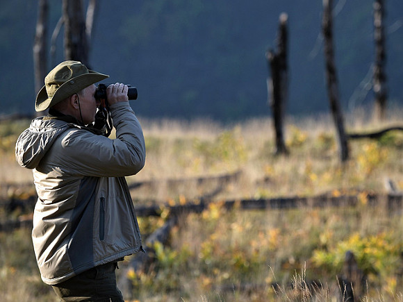 Оборонительная осень режима
