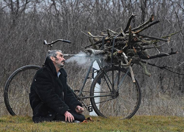 В Госдуме вместе с валежником предложили разрешить собирать &laquo;сухостой&raquo; и &laquo;ветровал&raquo;