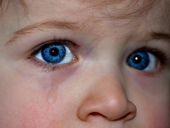 Власть без совести