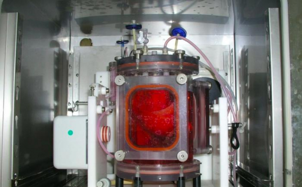 Зомби, таблетки от старости и ГМО-люди. Топ медицинских открытий 2018 года