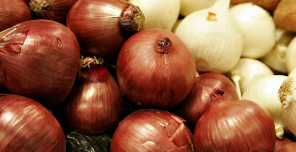 Отвар из луковой шелухи приносит организму не меньше пользы, чем лук