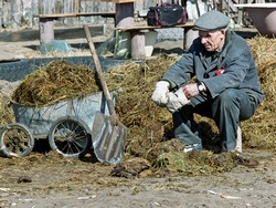 Украина оказалась хуже соседей по качеству жизни