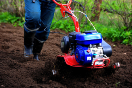 Россияне затравили шестиклассницу за письмо Путину и вынудили уйти из школы