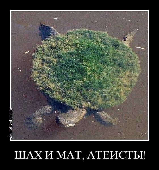 Плоская Земля: эксперименты и доказательства