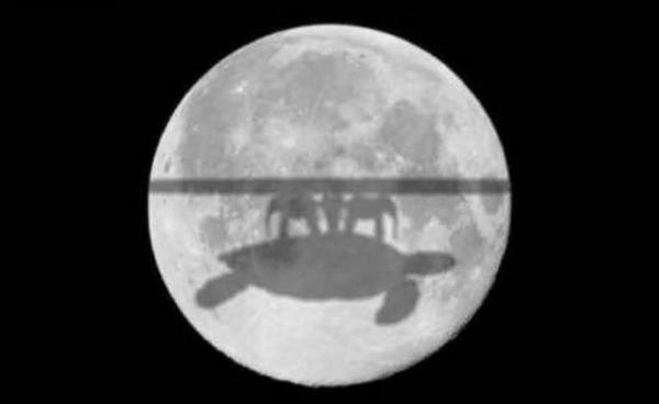 Плоская Земля: эксперименты и доказательства