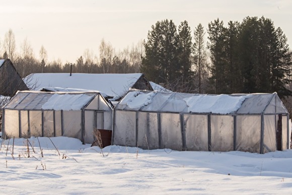 ФНС разъяснила, когда дачникам надо платить налог на теплицы и хозпостройки