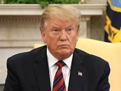 Трамп назвал Тиллерсона тупым за комментарий о встрече с Путиным