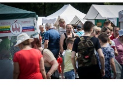 В Вильнюсе проходит праздник русской культуры